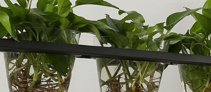 Homestay Plant Personality Creative Lamps